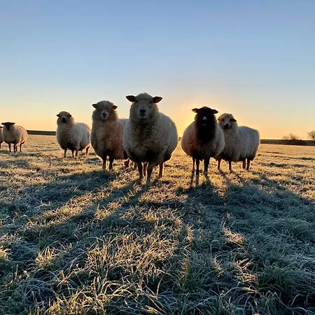 Bauernhof-steffens Tating