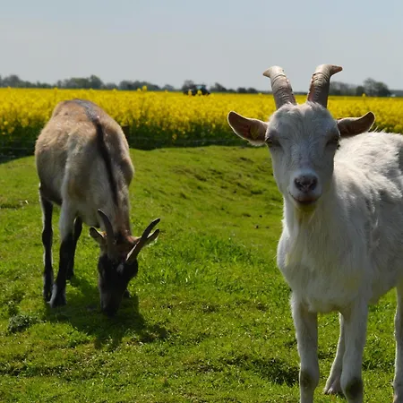 Bauernhof-steffens Lantgård