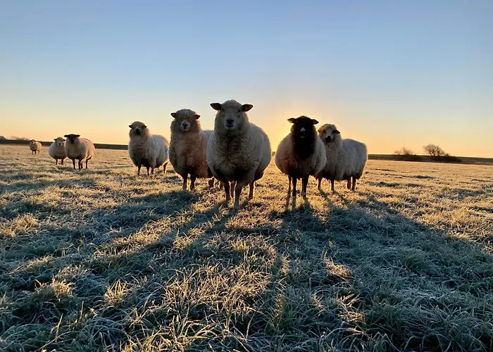Bauernhof-steffens Tating