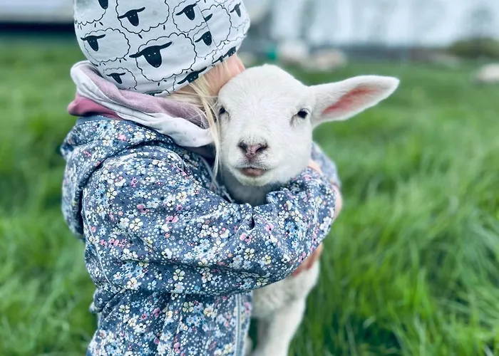 Bauernhof-steffens Lantgård