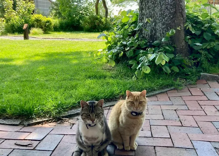 Lantgård Bauernhof-steffens *