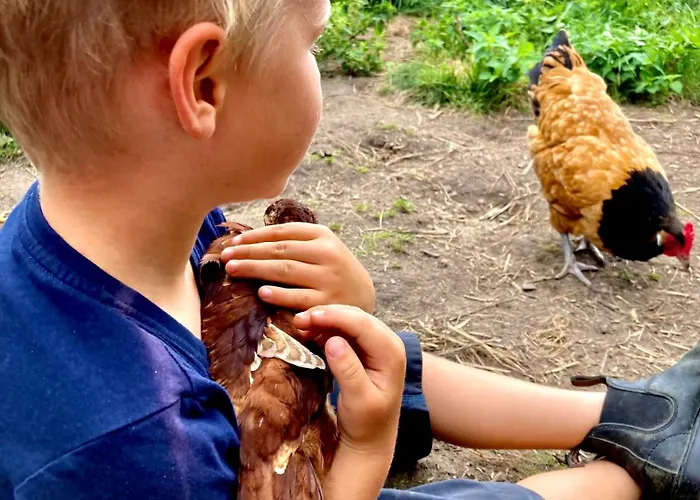 Lantgård Bauernhof-steffens Tating