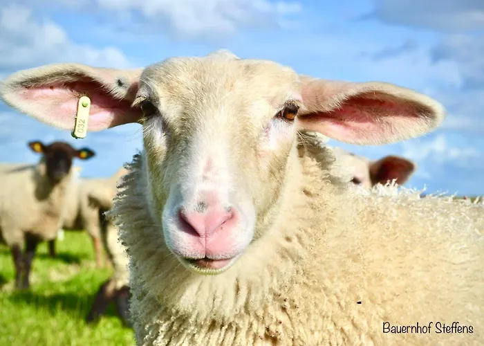 Lantgård Bauernhof-steffens Tating